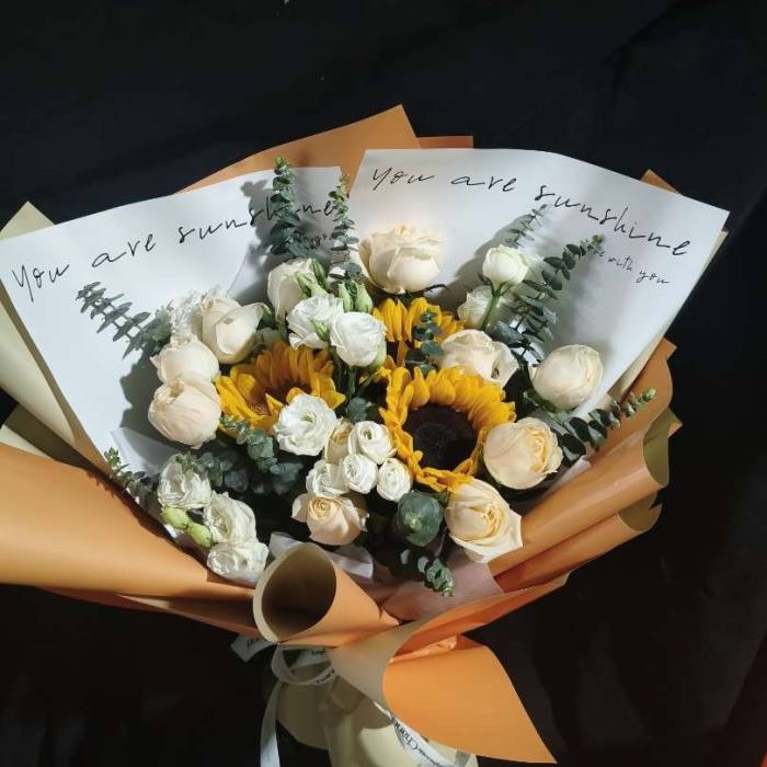 �����ຼ������